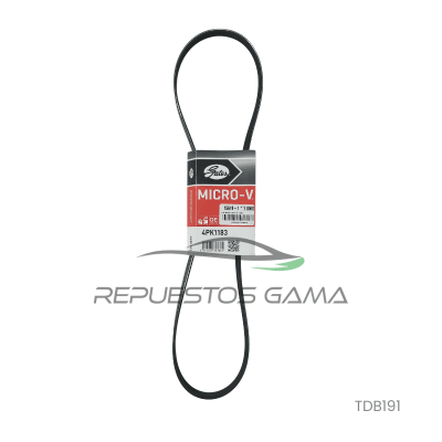 Correa Accesorios Toyota Rav4 2.5 2012/2017