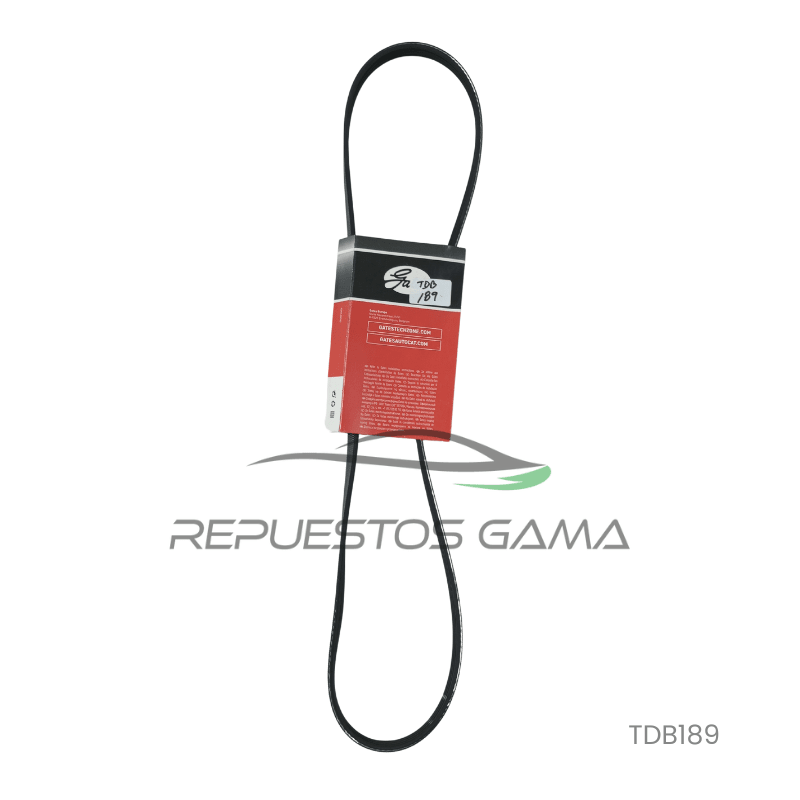 Correa Acccesorios Toyota Rav4 2.4 2016/20122