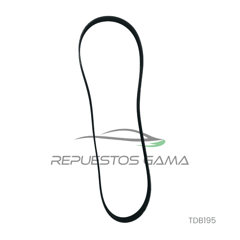 Correa Accesorios Toyota Rav4 2.0 2012/20233