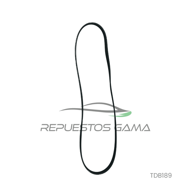 Correa Acccesorios Toyota Rav4 2.4 2016/20124