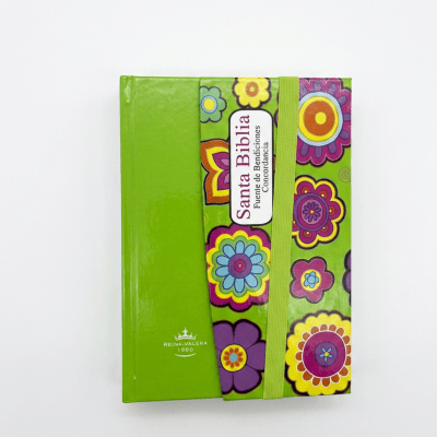 BIBLIA JUVENIL