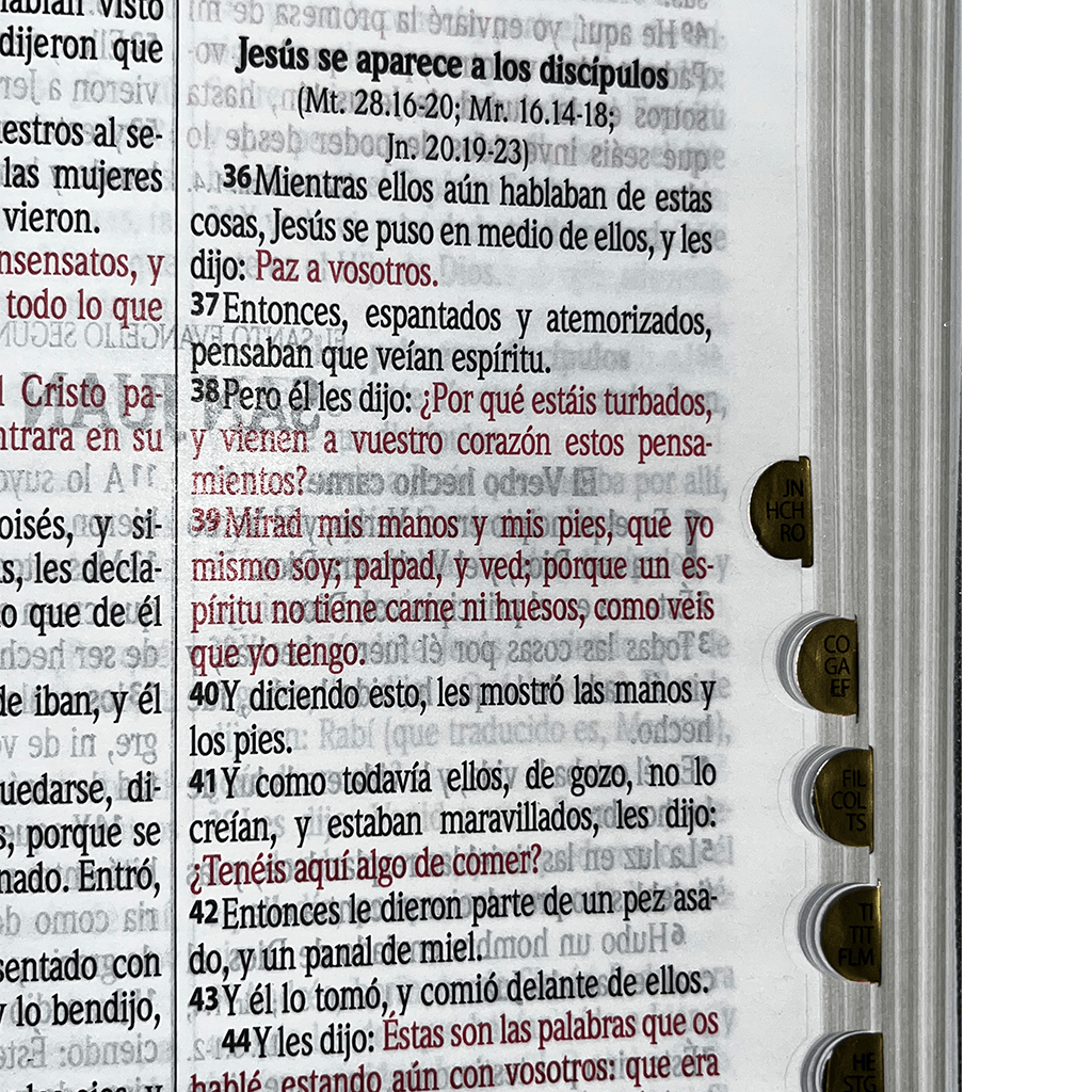 BIB CON CONCORDANCIA Y FORRO2