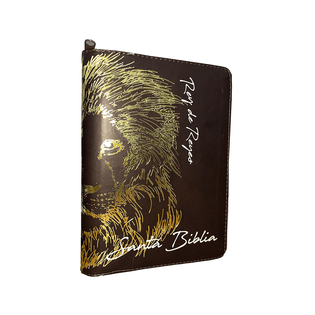 BIB CON CONCORDANCIA Y FORRO1