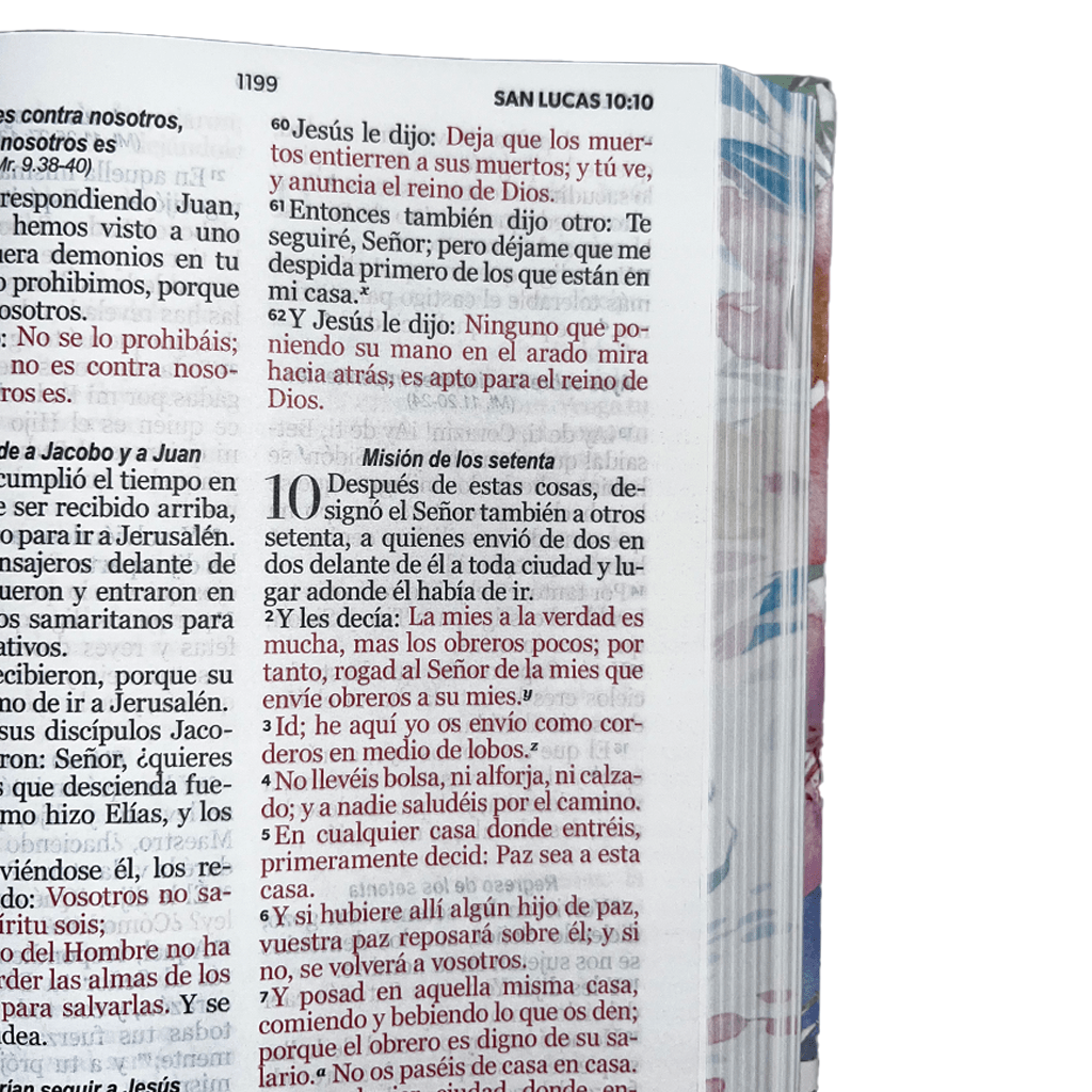 BIB MUNDO BIBLIA2