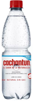 AGUA CACHANTUN S/GAS 600 cc1