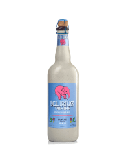 CERVEZA DELIRIUM TREMENS 750CC