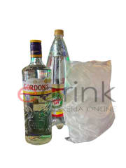 PROMO GIN GORDONS TONIC+ HIELO