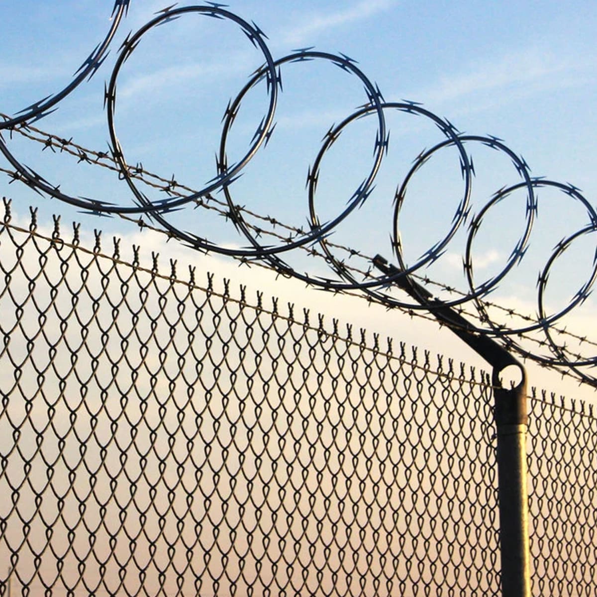 Pack 10 Rollo Concertina 40 Cm X 10 Mts con Candados3