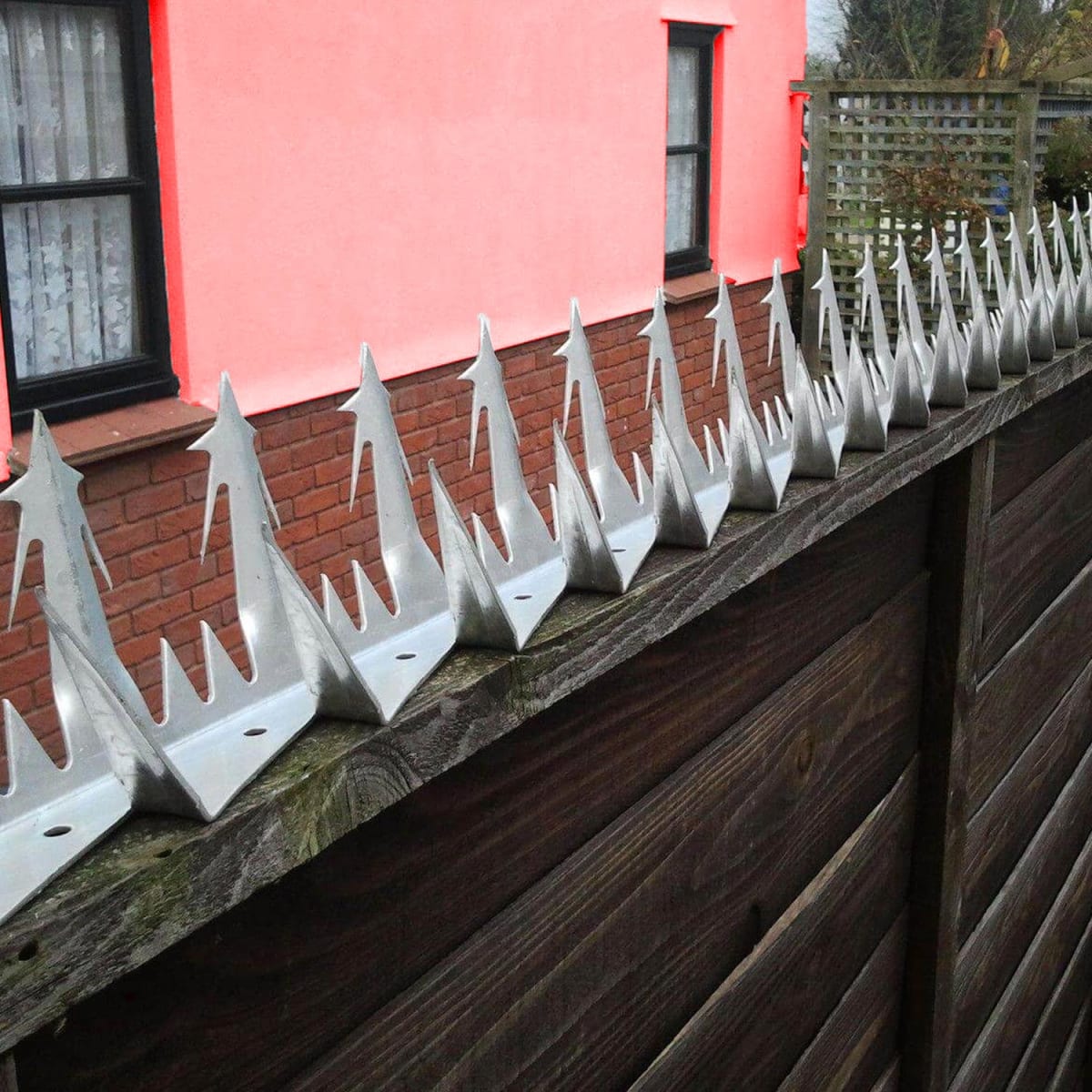 Pack 10 Punta Reja Tiburón Estrella Grande 10 Cm x Largo 1.25 Mts Galvanizada2