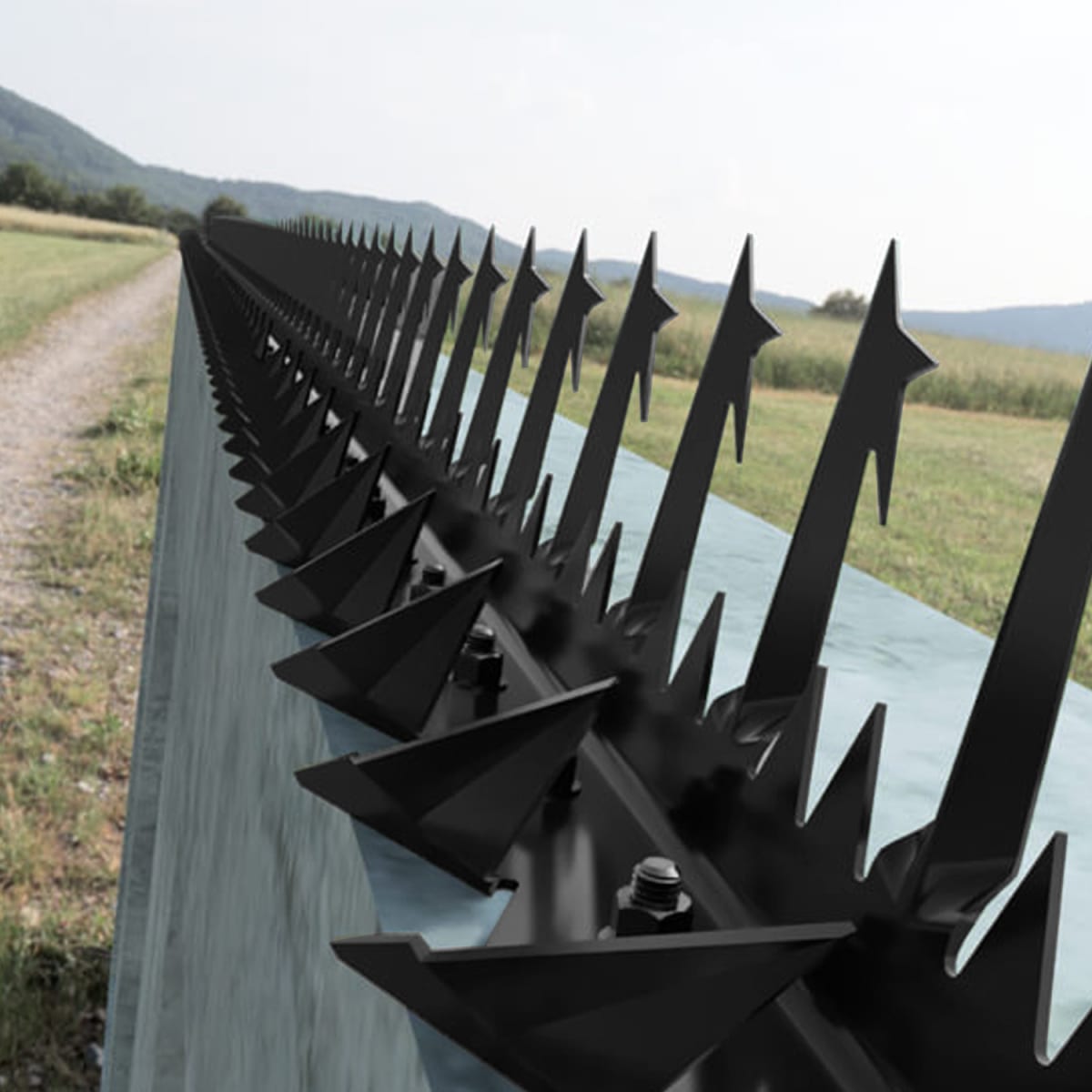 Pack 10 Punta Reja Tiburón Estrella Grande 10 Cm x Largo 1.25 Mts Negro2