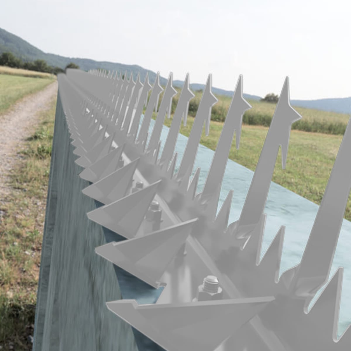 Pack 10 Punta Reja Tiburón Estrella Grande 10 Cm x Largo 1.25 Mts Blanco2