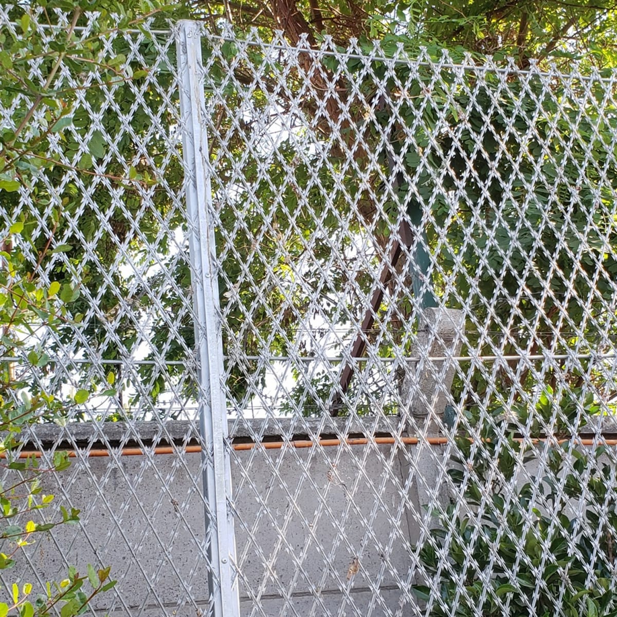 Rollo Malla Alcatraz 120 Cm x 6 Mts2