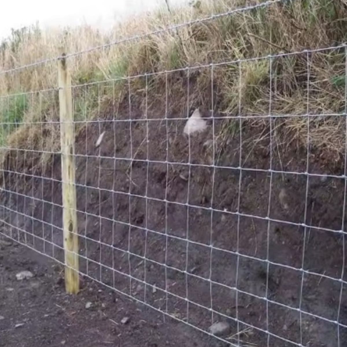 Malla Ganadera 1.80m Rollo 50m2