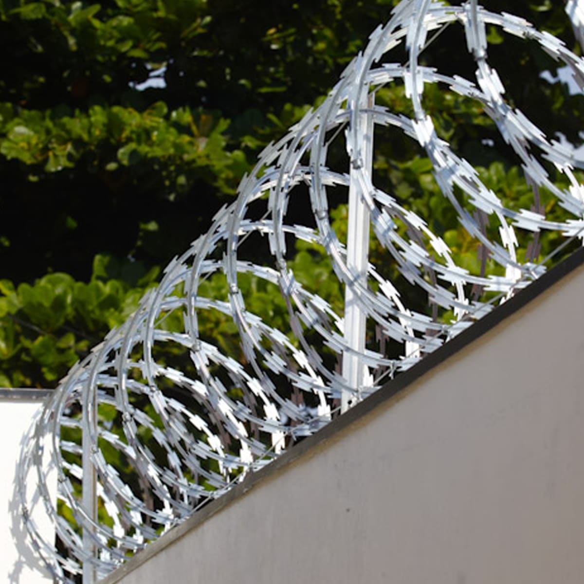 Pack 10 Rollo Concertina Diámetro 20 Cm x 10 Mts con Candados2