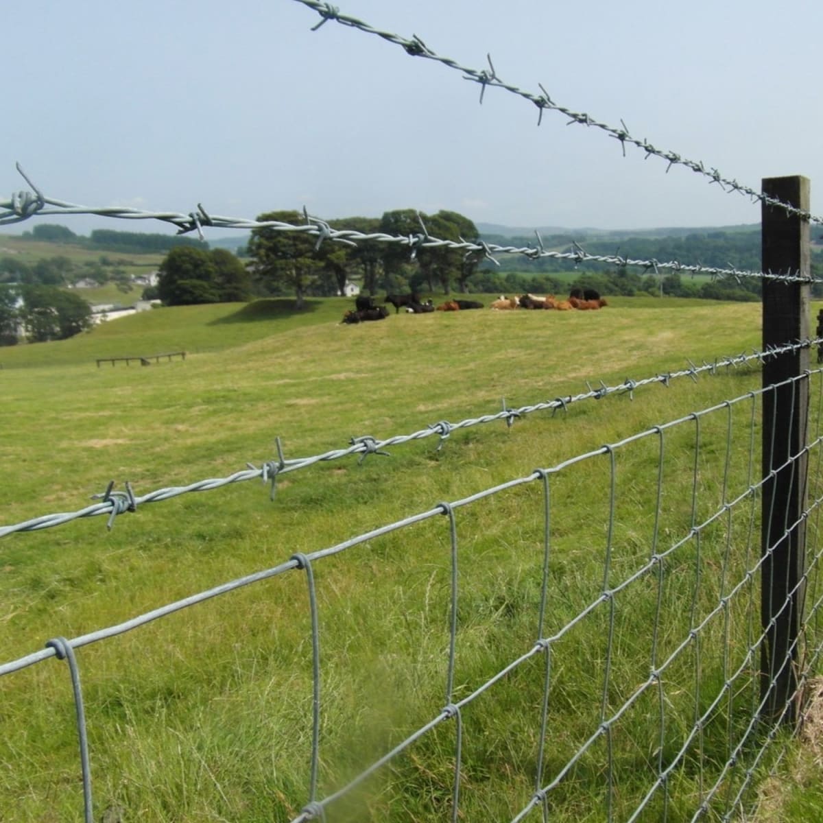 Rollo Alambre Púa 250 Mts Diámetro 1.5mm4