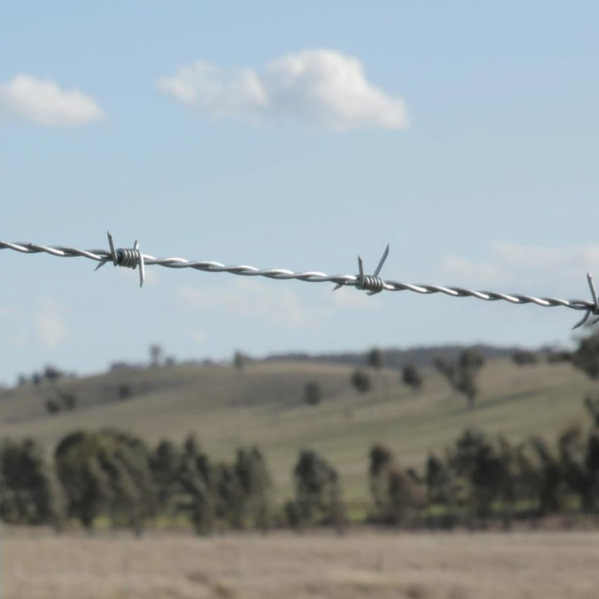 Pack 5 Rollo Alambre Púa 250 Mts Diámetro 1.5mm2