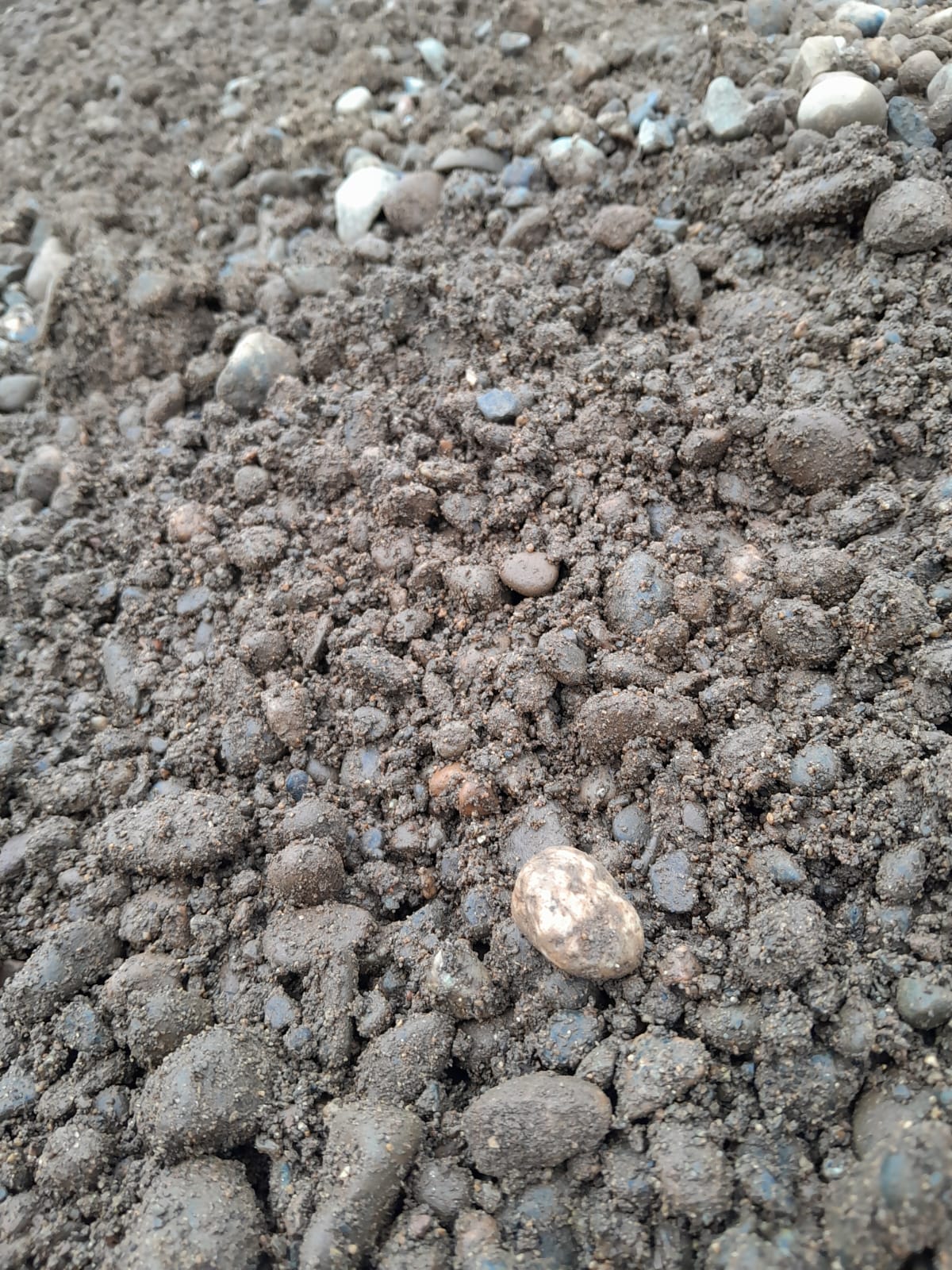 Estabilizado bajo 22