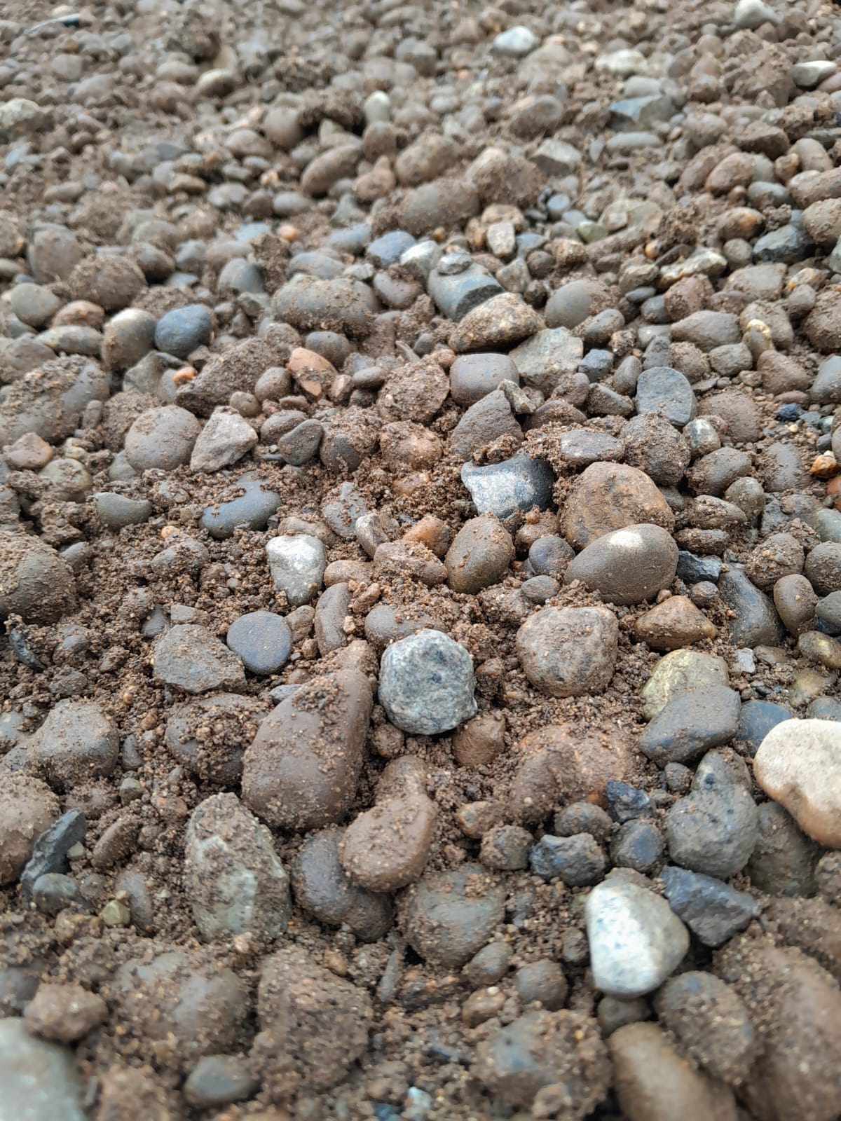 Estabilizado bajo 24