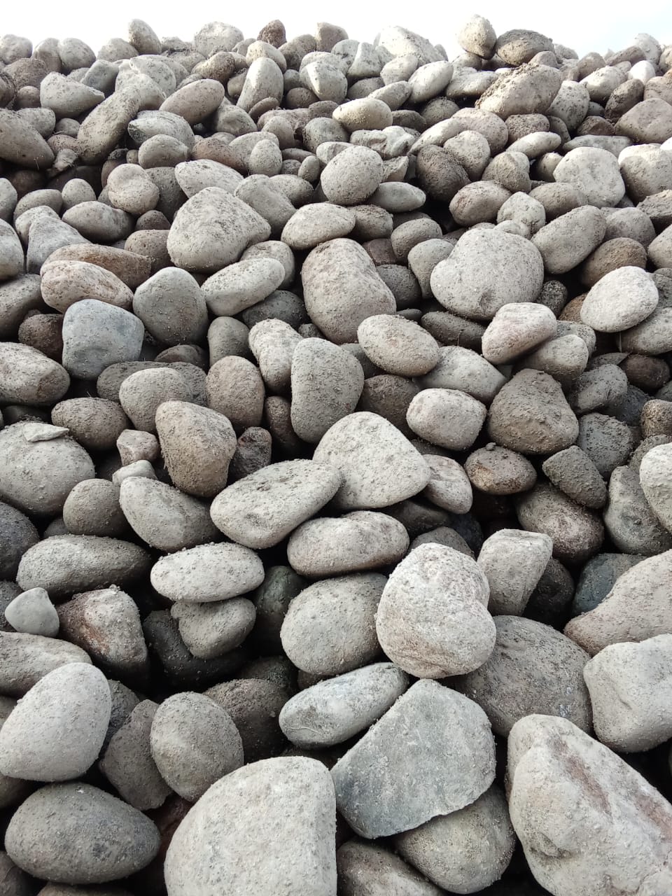 Bolones 4