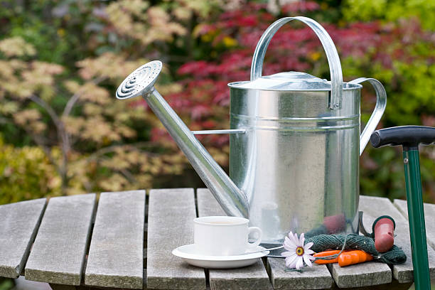 AERO METAL PROTECTION GALVANIZADO GRIS MATE2