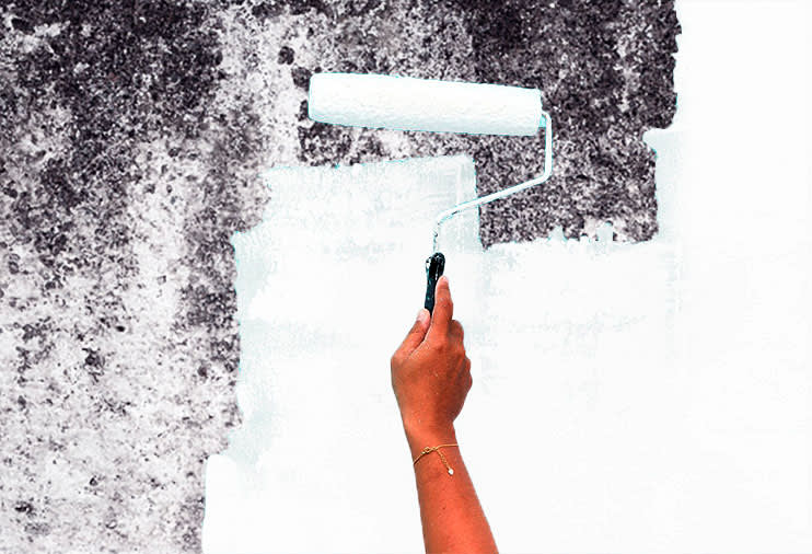 PINTURA FUNGICIDA BLANCO3