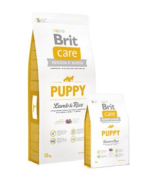BRIT CARE PUPPY LAMB & RICE1