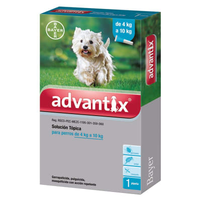 ADVANTIX PIPETA 4-1OKG1