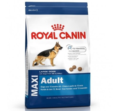 ROYAL CANIN MAXI ADULT1