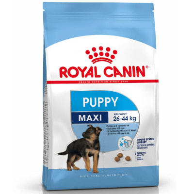 ROYAL CANIN MAXI JUNIOR SHN1