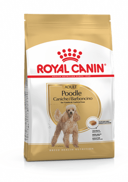 ROYAL CANIN POODLE ADULT1