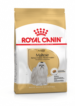 ROYAL CANIN MALTÉS ADULT1