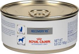ROYAL CANIN RECOVERY RS1