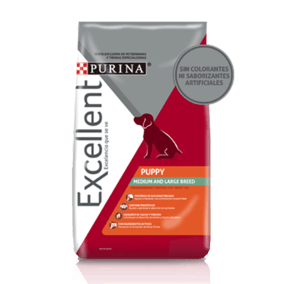 EXCELLENT PUPPY MEDIUM-LARGE BREED1