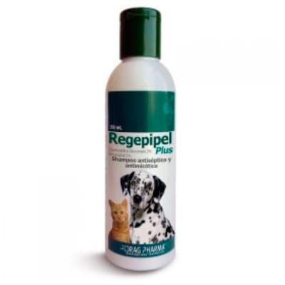 REGEPIPEL PLUS1