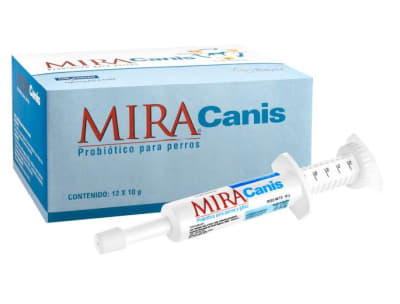 MIRA CANIS1