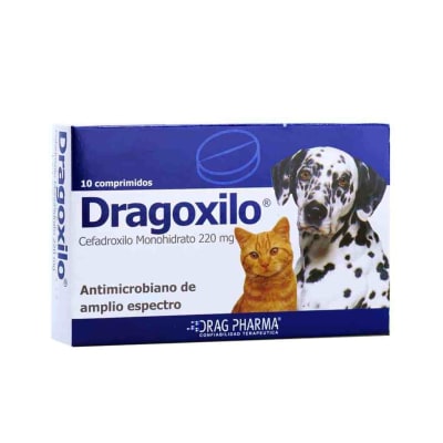DRAGOXILO 220 MG1