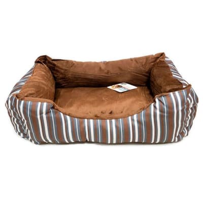 PAWISE CAMA CAFÉ1