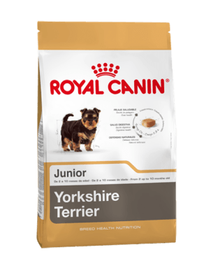 ROYAL CANIN YORKSHIRE TERRIER JUNIOR1
