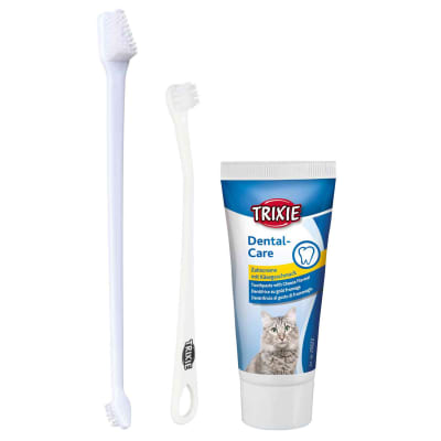 TX SET HIGIENE DENTAL GATO1