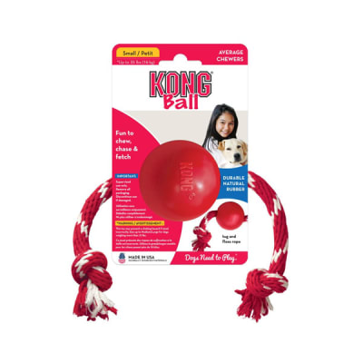KONG BALL WITH ROPE1