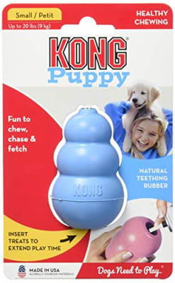 KONG PUPPY1