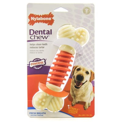 NYLABONE PRO ACTION DENTAL CHEW SABOR TOCINO1