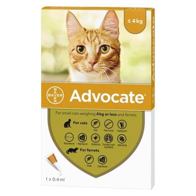 ADVOCATE PIPETA GATO 0-4 KG1
