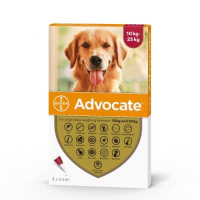 ADVOCATE PIPETA PERRO 10 A 25 KG1