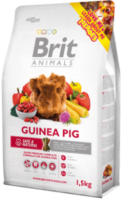 BRIT ANIMALS GUINEA PIG1
