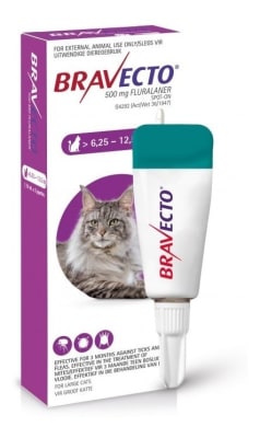 BRAVECTO PIPETA GATO 6.25 A 12.5 KG1