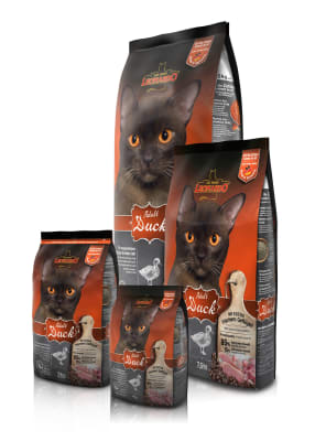 LEONARDO ADULT DUCK1