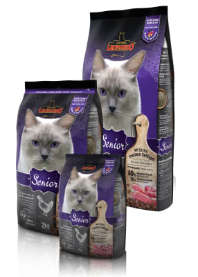 LEONARDO ADULT SENIOR1