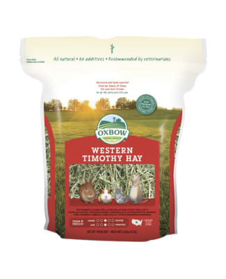 HENO WESTERN TIMOTHY1