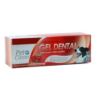 PASTA/ GEL DENTAL FRUTILLA 60 GR1